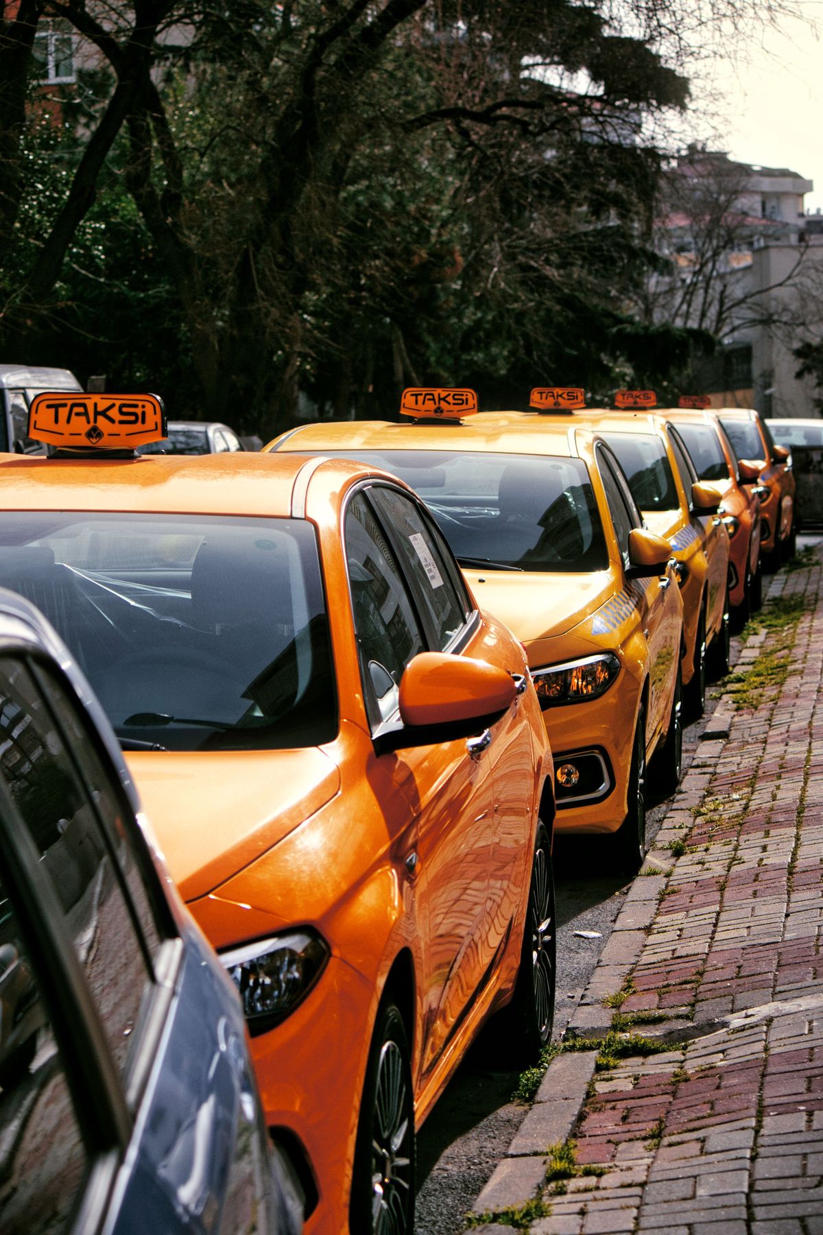 Oranje taxi's op een rij langs de stoep
